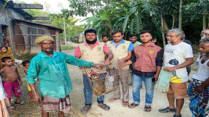 খাঁচায় বন্দী রেখে লালন-পালন করা বানর ও পাহাড়ি ময়না পাখি উদ্ধার